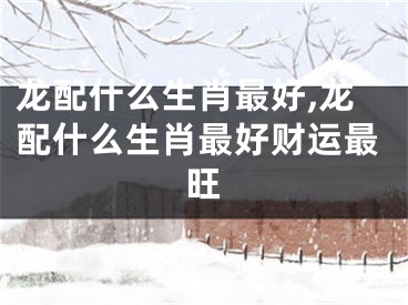 龙配什么生肖最好,龙配什么生肖最好财运最旺