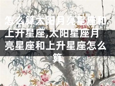 怎么算太阳月亮星座和上升星座,太阳星座月亮星座和上升星座怎么算