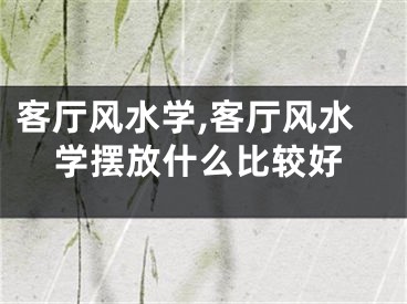 客厅风水学,客厅风水学摆放什么比较好