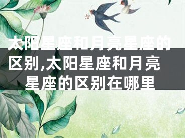 太阳星座和月亮星座的区别,太阳星座和月亮星座的区别在哪里