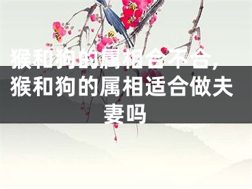 猴和狗的属相合不合,猴和狗的属相适合做夫妻吗