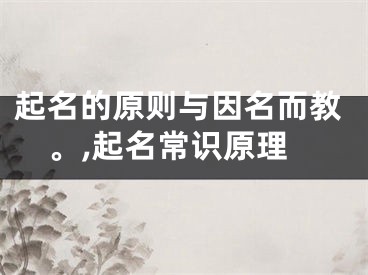 起名的原则与因名而教。,起名常识原理