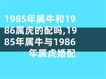 1985年属牛和1986属虎的配吗,1985年属牛与1986年属虎婚配