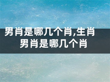 男肖是哪几个肖,生肖男肖是哪几个肖