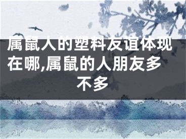 属鼠人的塑料友谊体现在哪,属鼠的人朋友多不多