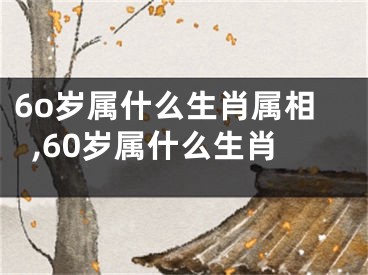 6o岁属什么生肖属相,60岁属什么生肖