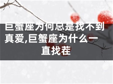 巨蟹座为何总是找不到真爱,巨蟹座为什么一直找茬