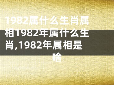 1982属什么生肖属相1982年属什么生肖,1982年属相是啥