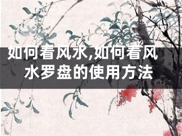如何看风水,如何看风水罗盘的使用方法
