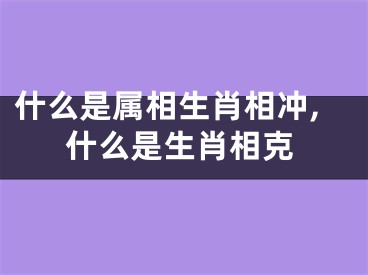 什么是属相生肖相冲,什么是生肖相克