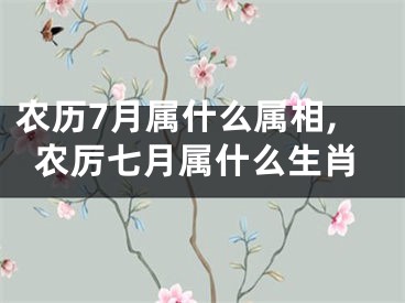 农历7月属什么属相,农厉七月属什么生肖