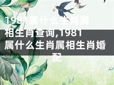 1981属什么生肖属相生肖查询,1981属什么生肖属相生肖婚配