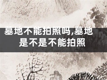 墓地不能拍照吗,墓地是不是不能拍照