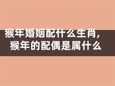 猴年婚姻配什么生肖,猴年的配偶是属什么