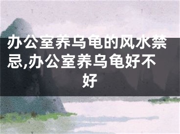 办公室养乌龟的风水禁忌,办公室养乌龟好不好