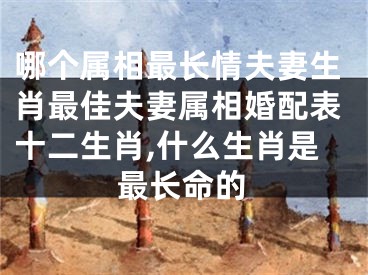 哪个属相最长情夫妻生肖最佳夫妻属相婚配表十二生肖,什么生肖是最长命的