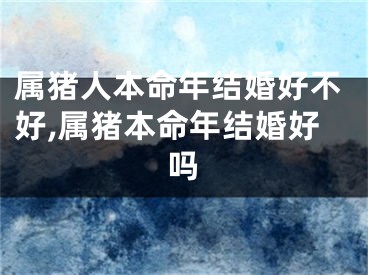 属猪人本命年结婚好不好,属猪本命年结婚好吗