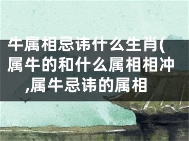 牛属相忌讳什么生肖(属牛的和什么属相相冲,属牛忌讳的属相