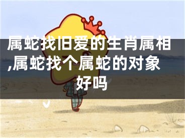 属蛇找旧爱的生肖属相,属蛇找个属蛇的对象好吗