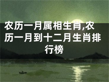 农历一月属相生肖,农历一月到十二月生肖排行榜