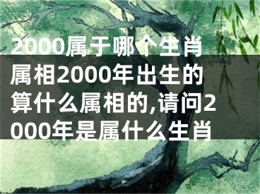 2000属于哪个生肖属相2000年出生的算什么属相的,请问2000年是属什么生肖