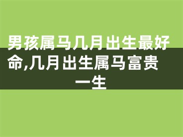 男孩属马几月出生最好命,几月出生属马富贵一生