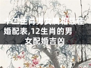 十二生肖男女属相最佳婚配表,12生肖的男女配婚吉凶