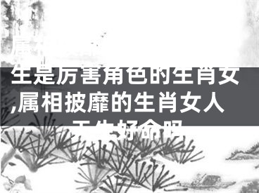 属相披靡的生肖女人天生是厉害角色的生肖女,属相披靡的生肖女人天生好命吗