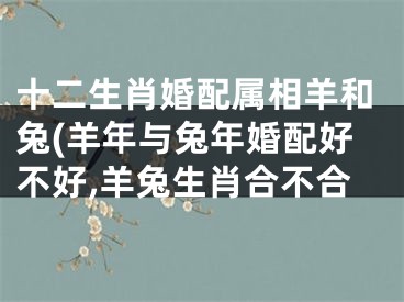 十二生肖婚配属相羊和兔(羊年与兔年婚配好不好,羊兔生肖合不合