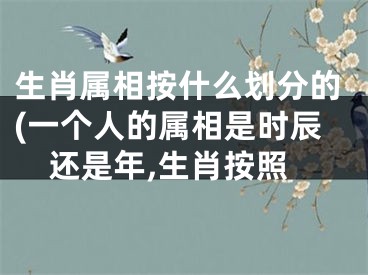 生肖属相按什么划分的(一个人的属相是时辰还是年,生肖按照
