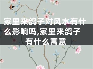 家里来鸽子对风水有什么影响吗,家里来鸽子有什么寓意