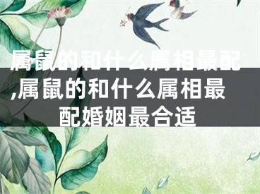 属鼠的和什么属相最配,属鼠的和什么属相最配婚姻最合适