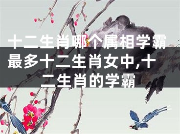 十二生肖哪个属相学霸最多十二生肖女中,十二生肖的学霸