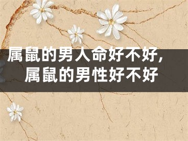 属鼠的男人命好不好,属鼠的男性好不好