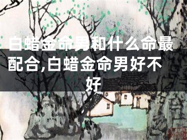白蜡金命男和什么命最配合,白蜡金命男好不好