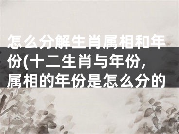 怎么分解生肖属相和年份(十二生肖与年份,属相的年份是怎么分的