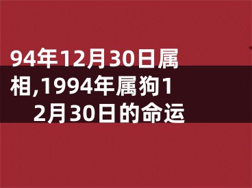 94年12月30日属相,1994年属狗12月30日的命运