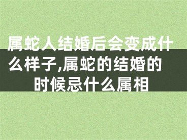 属蛇人结婚后会变成什么样子,属蛇的结婚的时候忌什么属相