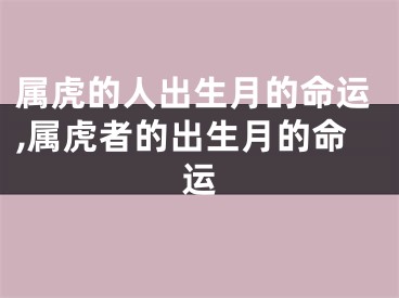 属虎的人出生月的命运,属虎者的出生月的命运