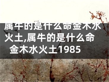 属牛的是什么命金木水火土,属牛的是什么命金木水火土1985