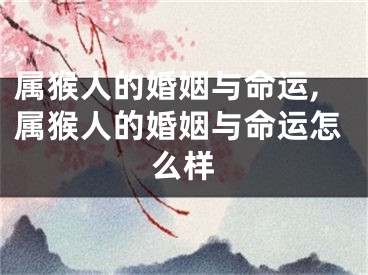 属猴人的婚姻与命运,属猴人的婚姻与命运怎么样
