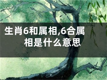 生肖6和属相,6合属相是什么意思