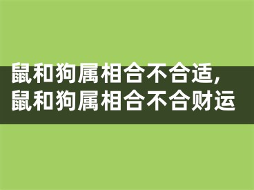 鼠和狗属相合不合适,鼠和狗属相合不合财运