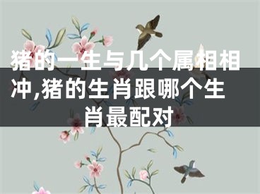 猪的一生与几个属相相冲,猪的生肖跟哪个生肖最配对