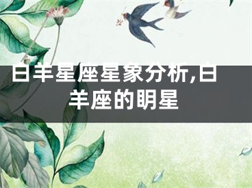 白羊星座星象分析,白羊座的眀星
