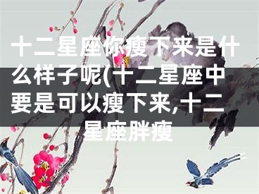 十二星座你瘦下来是什么样子呢(十二星座中要是可以瘦下来,十二星座胖瘦