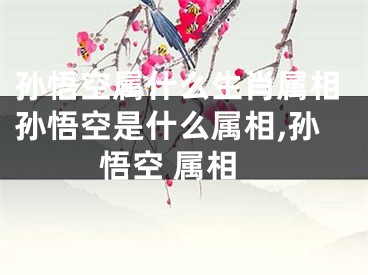 孙悟空属什么生肖属相孙悟空是什么属相,孙悟空 属相