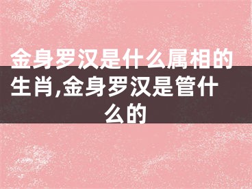 金身罗汉是什么属相的生肖,金身罗汉是管什么的