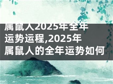 属鼠人2025年全年运势运程,2025年属鼠人的全年运势如何