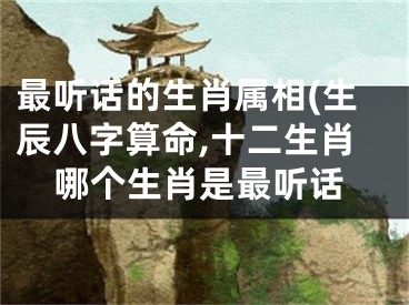 最听话的生肖属相(生辰八字算命,十二生肖哪个生肖是最听话